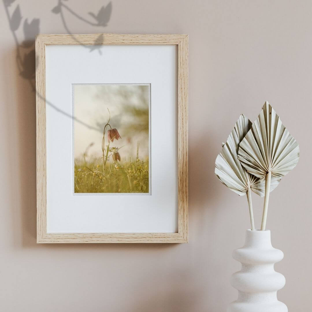 Wandbilder Fine Art