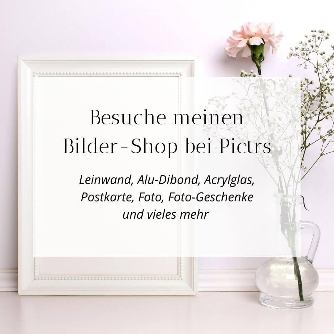 Postershop bei Pictrs