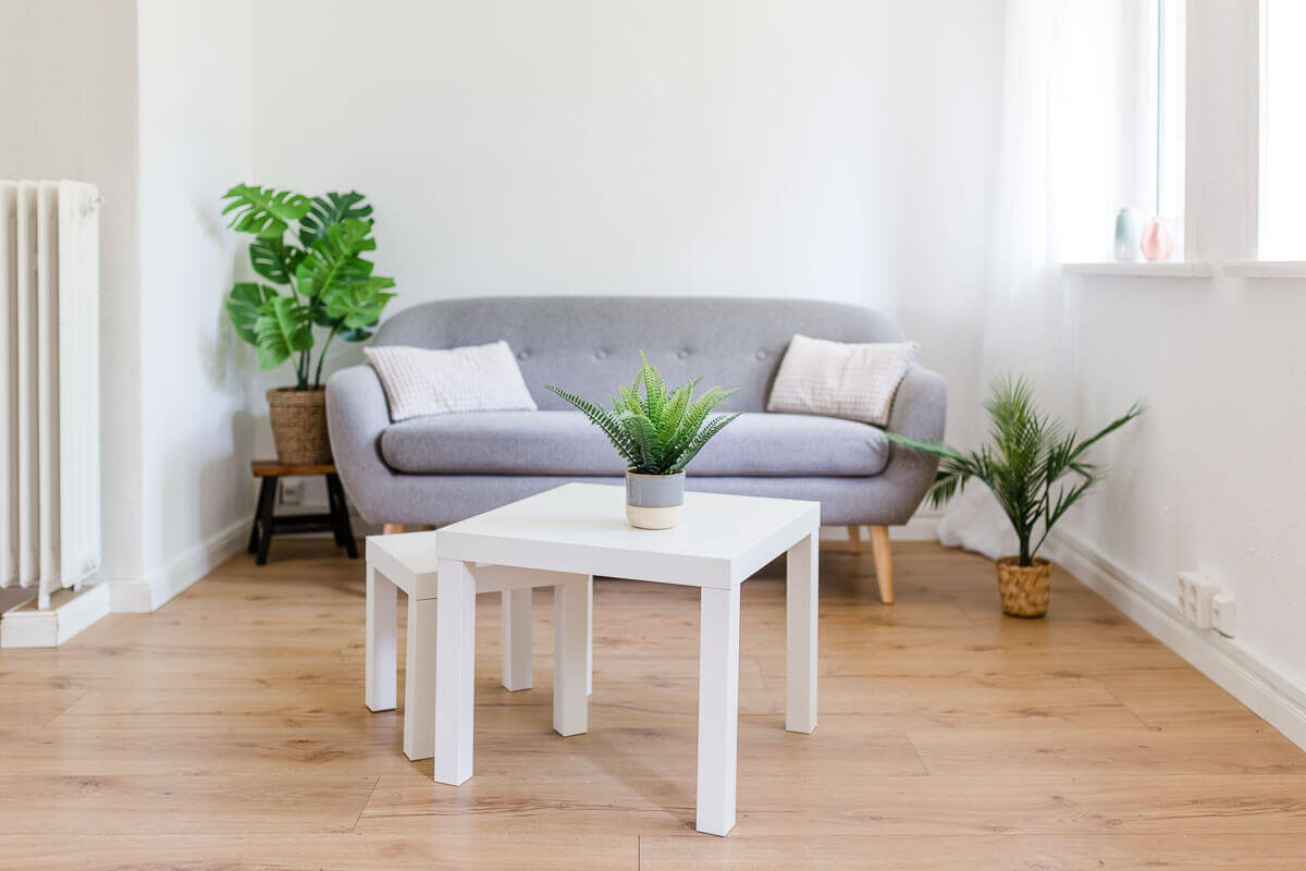 Die Studio-Couch umgeben von grünen Pflanzen, immer individuell wandelbar.
