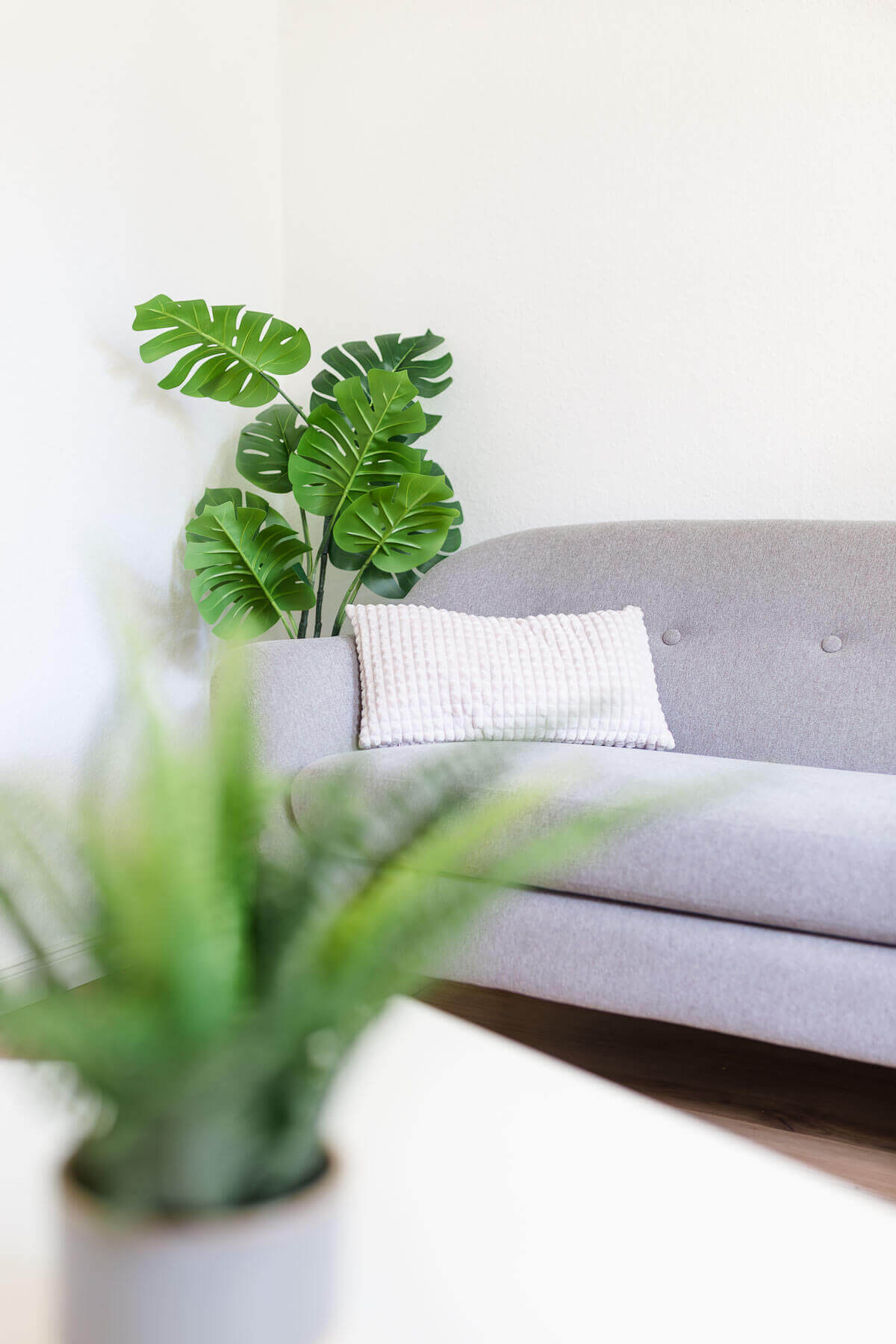 Eine Monstera und eine graue Couch im Hintergrund im Fokus. Mietstudio und Coachingraum in Hamburg Barmbek-Süd.